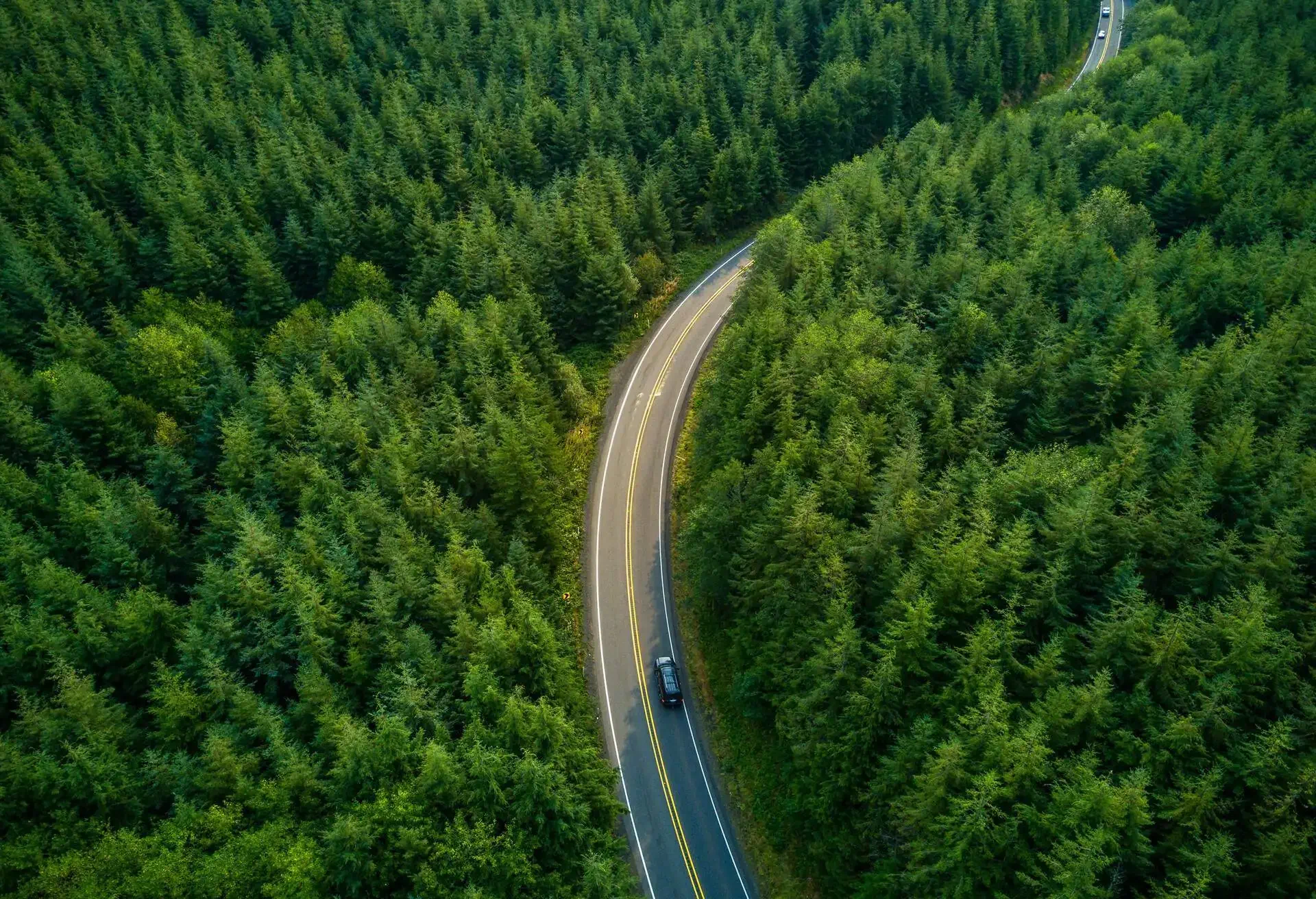 road trip cars for hiking