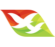 Air Seychelles